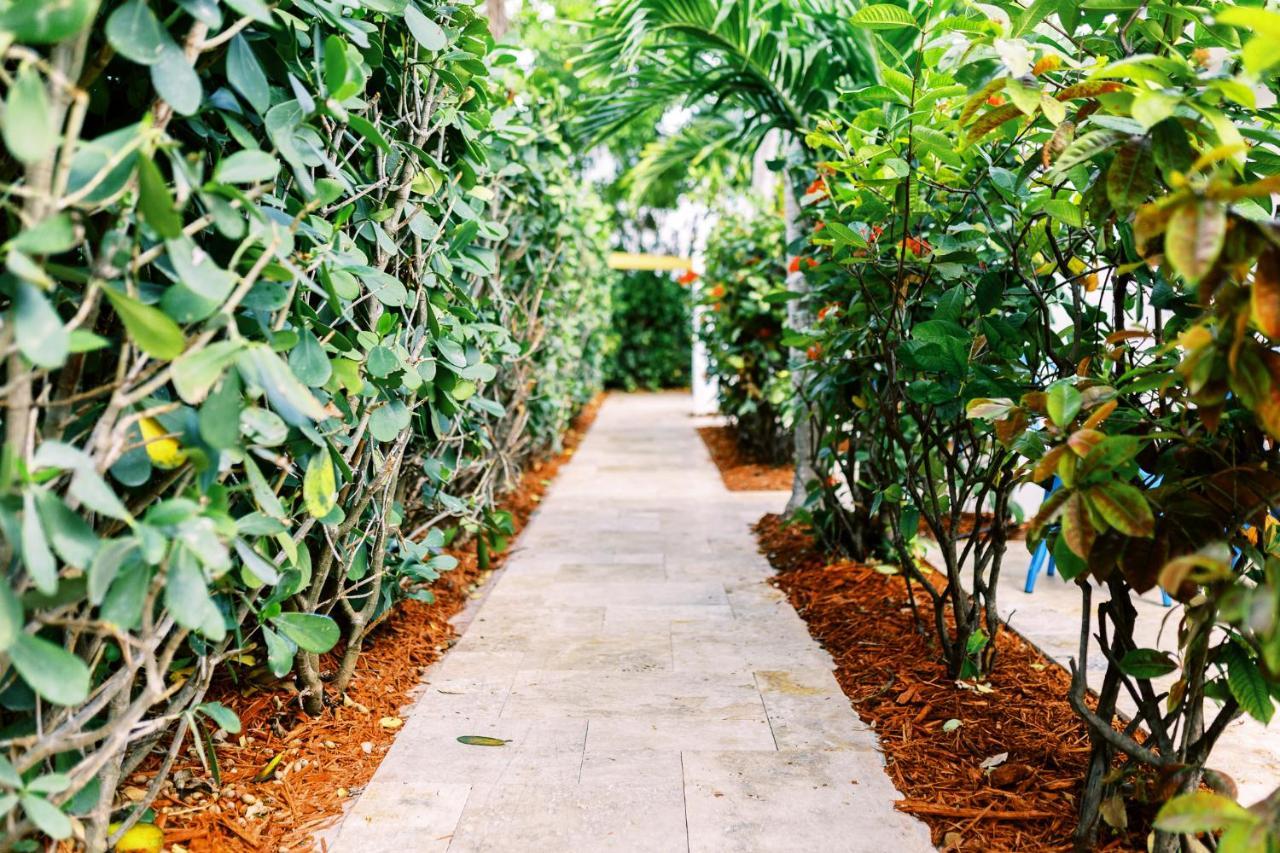 Casa Cordova Leilighet Fort Lauderdale Eksteriør bilde